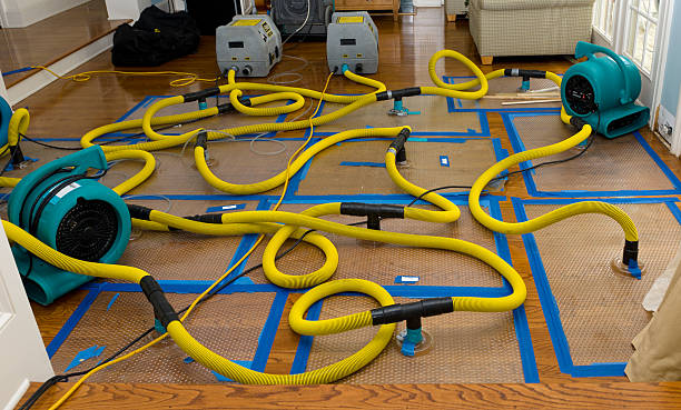 Professional Water Damage Repair technician working in Canton, ME
